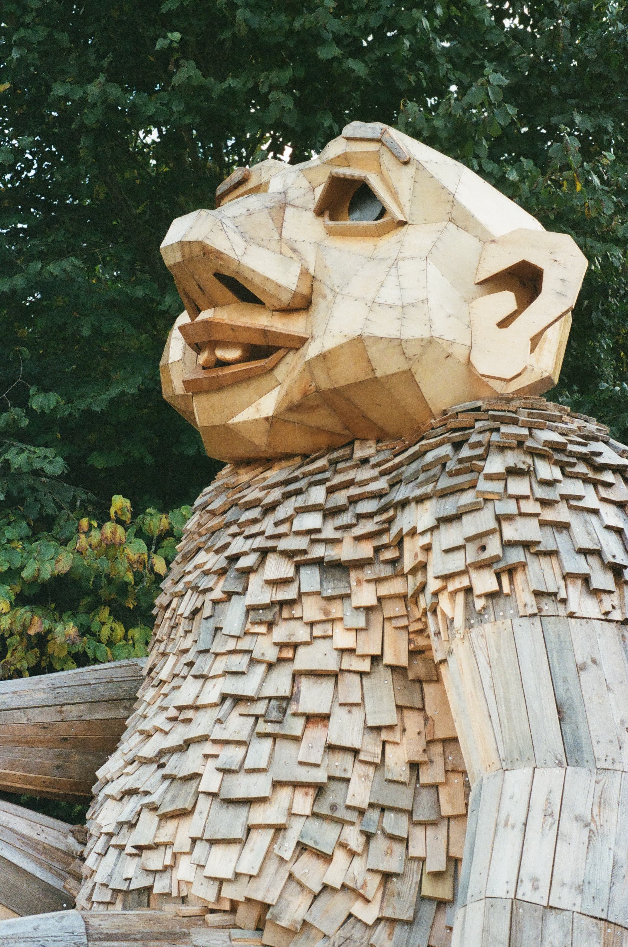 Analog Photography — 5