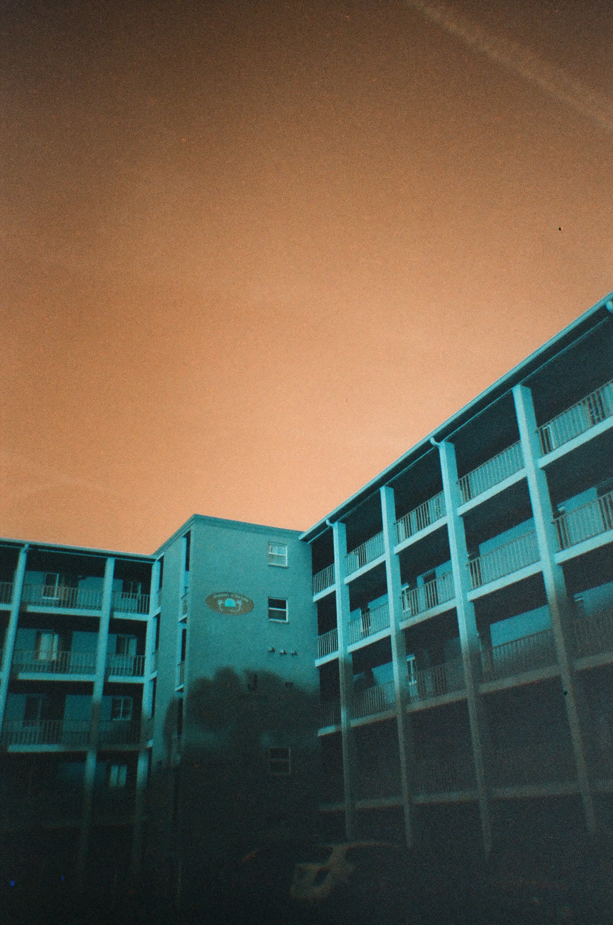 Analog Photography — 8