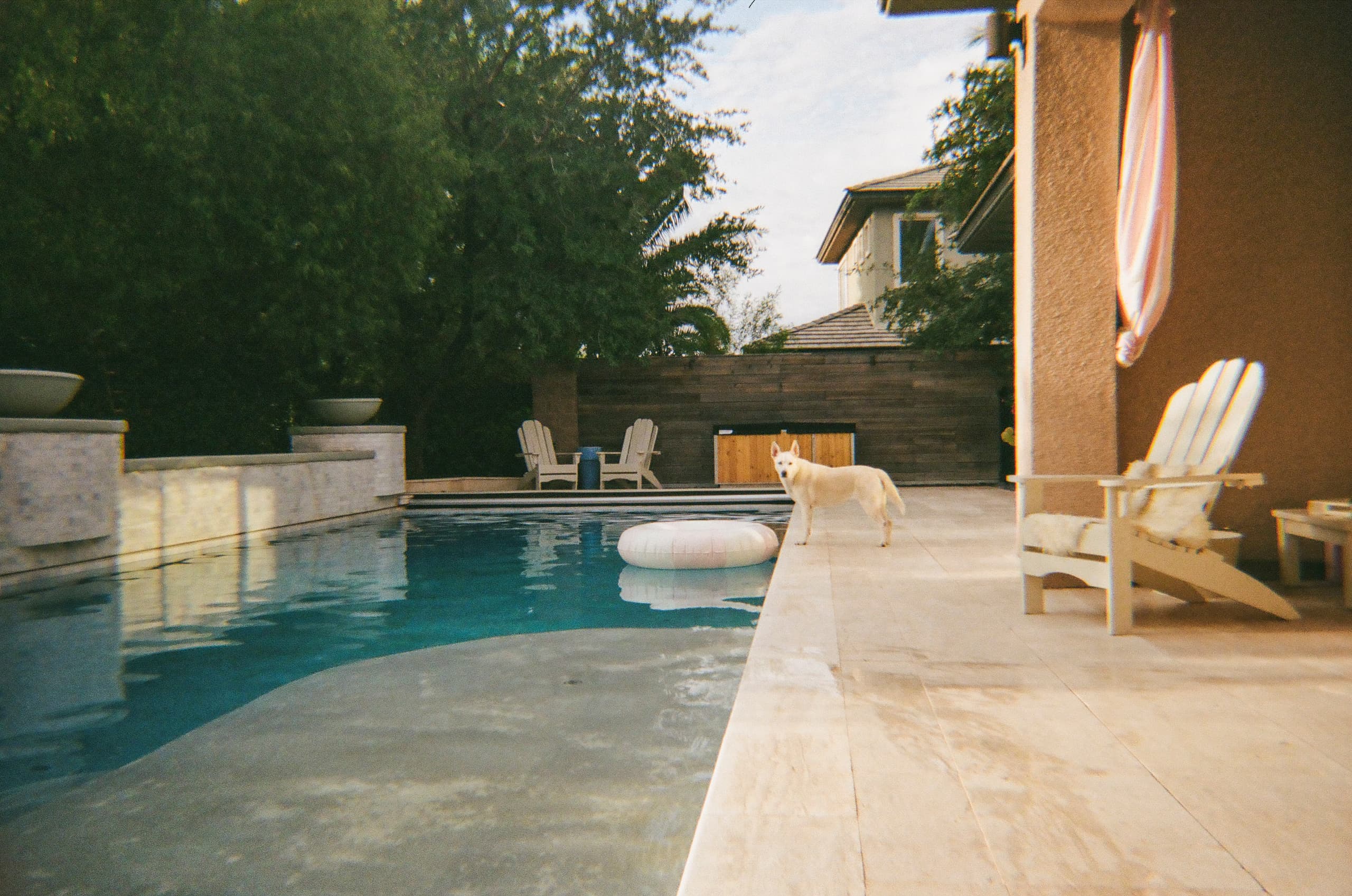 Analog Photography — 31